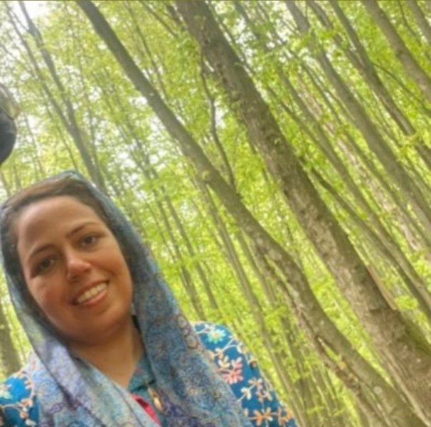 Saba Azarpeik Reports New Corruption in the Ministry of Industry, Mine and Trade