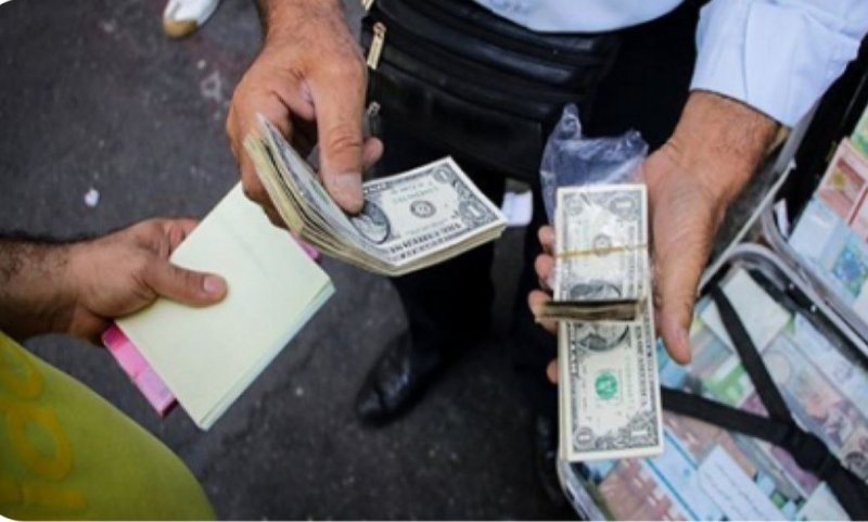 The Plan to Combat Currency Brokers Has Launched