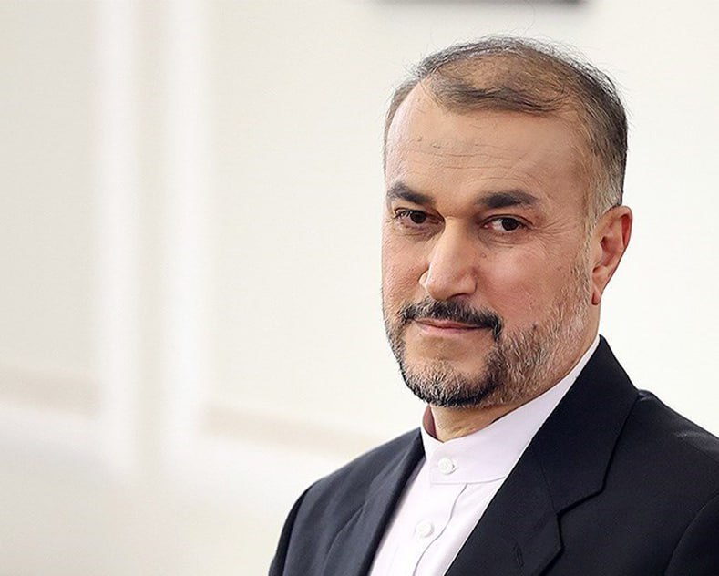 Leave the hall when Lord Stuart Polak starts his speech during Amir-Abdollahian's speech