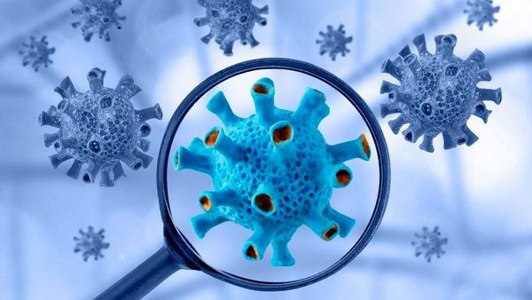 24 People Die Due to Coronavirus