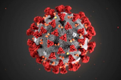 The emergency situation of COVID-19 in the world has ended