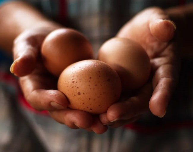The price of eggs has reached four thousand tomans