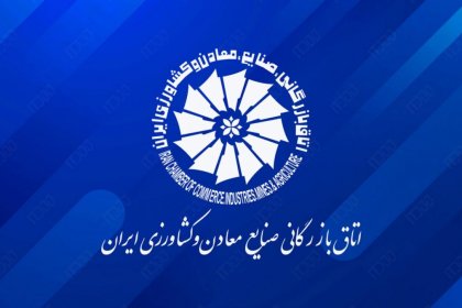 Private sector parliament under government siege
