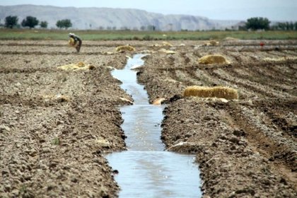 Iran's Energy Minister Advisor: We Consume 100 Billion Cubic Meters of Water Annually