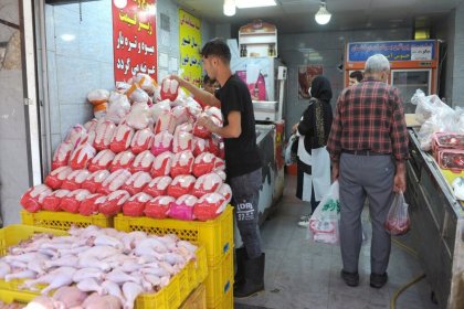 تم تقنين توزيع الدجاج