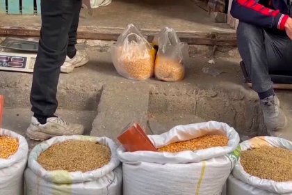 سكان غزه بسبب الجوع يلجأون إلى علف الحيوانات