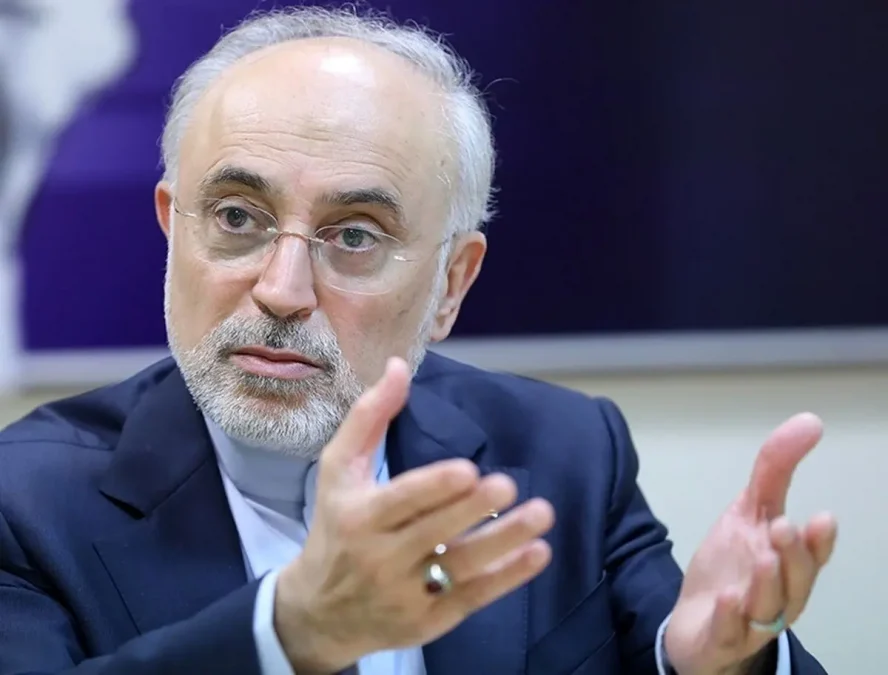 Ali Akbar Salehi: We should not expect Iran to send soldiers to Palestine