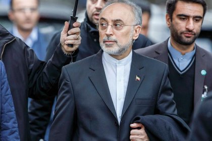 انتقاد علی اکبر صالحی از نحوه برخورد با دوتابعیتی ها: این رفتارها عقلایی نیست