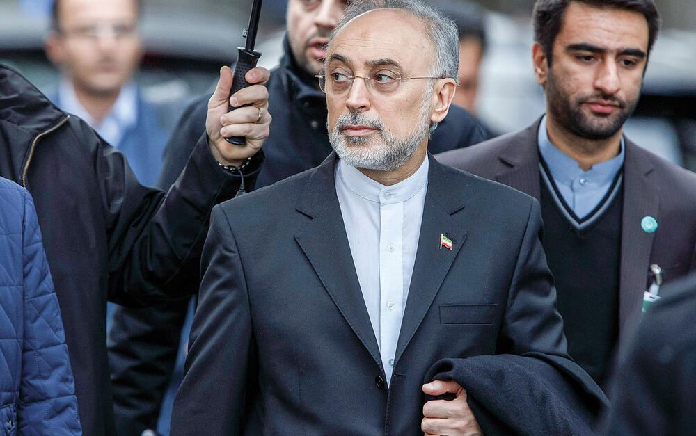 انتقاد علی اکبر صالحی از نحوه برخورد با دوتابعیتی ها: این رفتارها عقلایی نیست