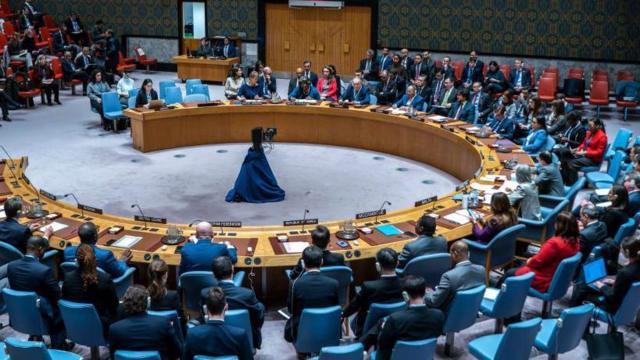 Security Council Meeting on Gaza