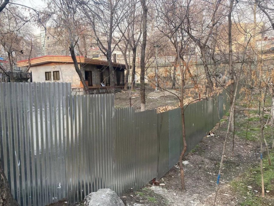 Claim by Tehran City Council Spokesperson: No Trees Were Cut Down for the Construction of Qeytarieh Mosque