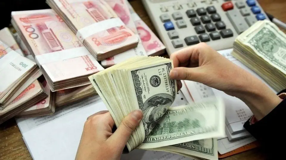 Travel Currency Quota Reduced Again to 500 Euros
