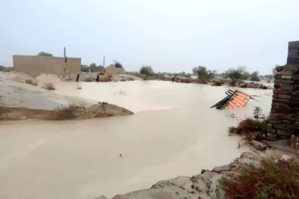 رئيس مجلس الإعلام الحكومي: هذه الأقاويل بأن الناس المتضررين من السيول قد تُركوا لا تنطبق على الحكومة