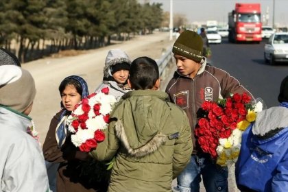 مدیرعامل سازمان خدمات شهرداری: کودکان کار اتباع رد مرز میشوند