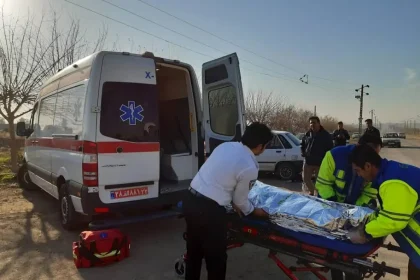 في أسبوع واحد فقط، 178 شخصًا لقوا حتفهم بسبب الحوادث