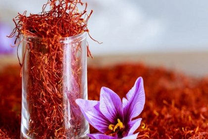 The 5th of Aban is designated as National Saffron Day