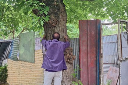 Construction in Laleh Park Halted by Tehran City Council Member