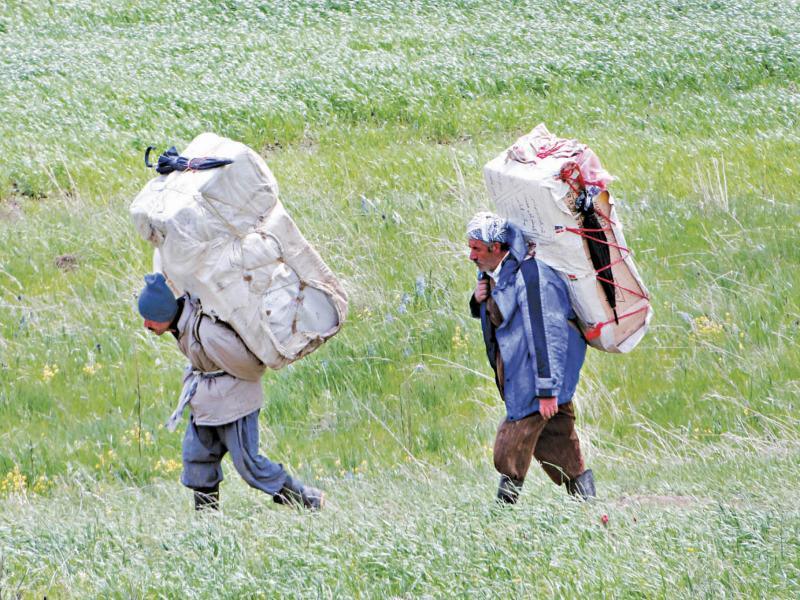 دو نهاد حقوق بشری از مسعود پزشکیان خواستند به آزار کولبران در ایران پایان داده شود