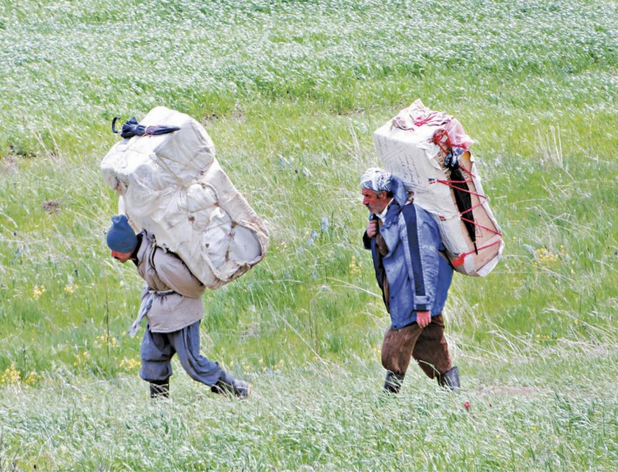 Seven Kolbars Killed and Injured by Direct Shooting of Border Forces