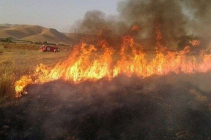 4 هکتار از مراتع سمیرم با ته سیگار خاکستر شد