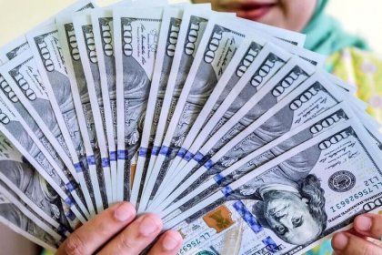 Dollar Reaches Highest Level in Past 6 Months