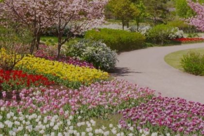 Gently, now spring arrives