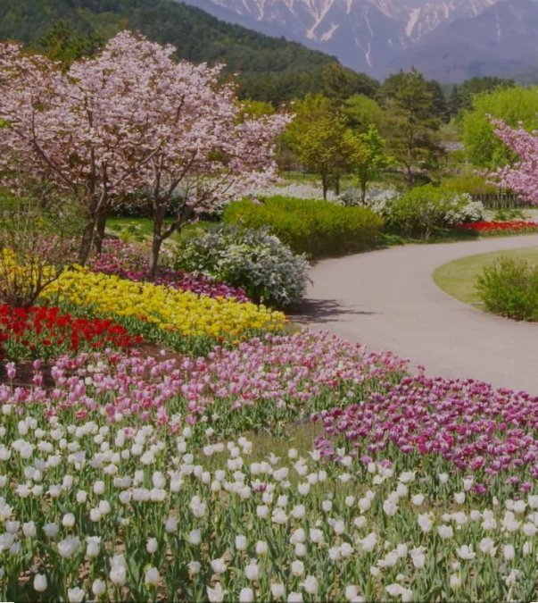 Gently, now spring arrives