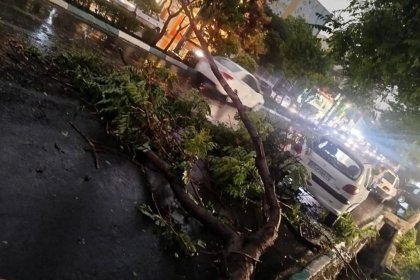 Emergency Tehran: 6 people injured in Tehran due to storm