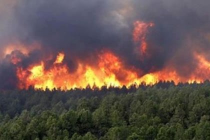 The Forests of Golestan are Burning Again Due to Negligence