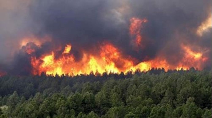 The Forests of Golestan are Burning Again Due to Negligence