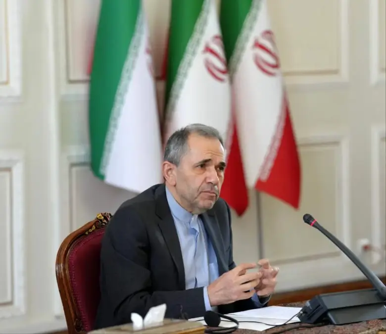 Takht Ravanchi: Despite Parliament's Resolution, Our Cooperation with the Agency Continues