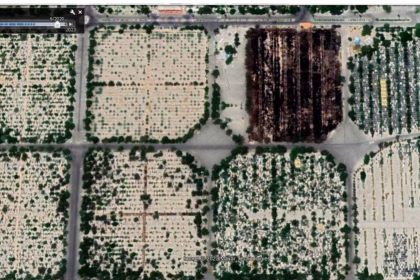 Deputy Mayor of Tehran: Burial site of 1980s victims turned into parking lot
