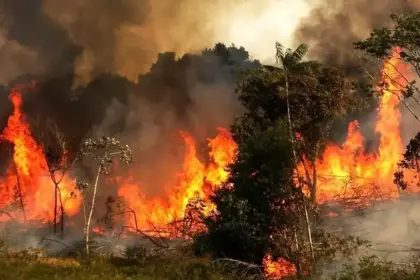 Forest Fires in Hyrcanian Forests Enter Third Week