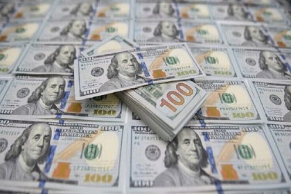 عضو هيئة مديري واردکنندگان نهادههای دامی: میلیاردها دلار پول نفت به کشور برنگشت